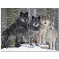 Wolf Wolves Ceramic Tile Mural Kitchen Backsplash Bathroom Shower 403125-S43