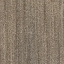 Saltney 24" X 24" (72SF/carton) Carpet Tile In GLORY DAYS