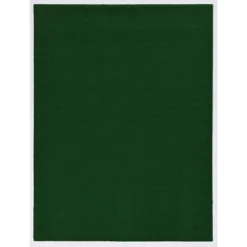 Foss Putting Green 6 Ft. X 8 Ft. Artificial Grass Rug